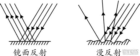 鏡子的反射|镜子反射原理